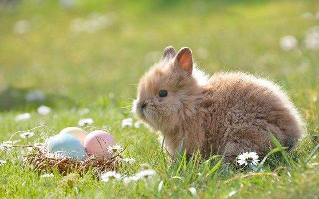 Mostly Candy Free Easter Baskets Kids Will Love