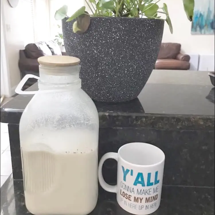 How to make Dairy Free Vanilla Creamer