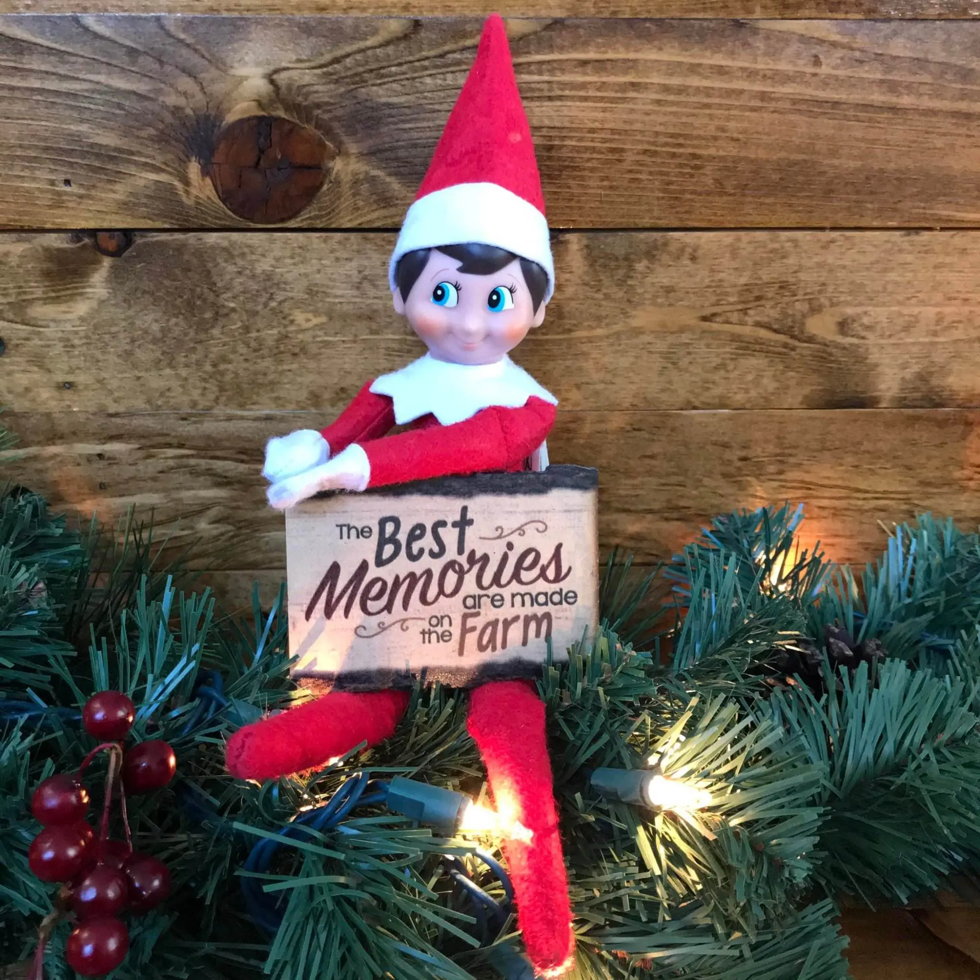 Elf on the Shelf ™ ideas for Homesteads and Hobby Farms